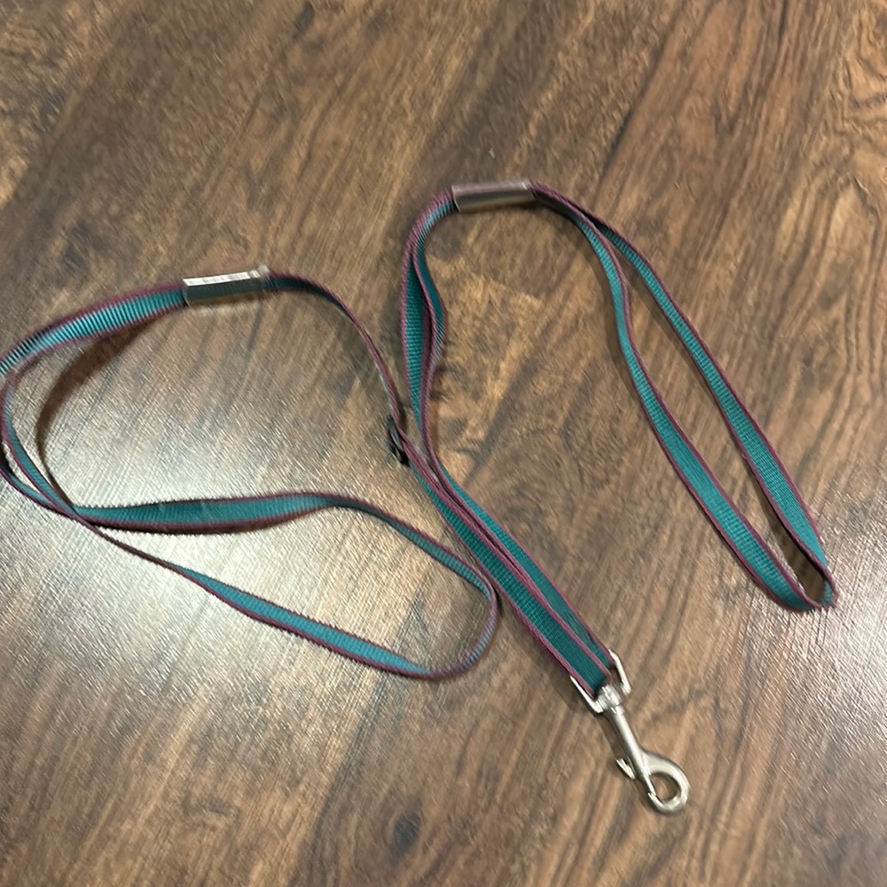 Control Double Leash with 1  Adjustable side.